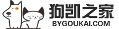 狗凯之家源码网在线工具